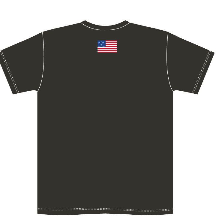 Jesus is KING USA T-Shirt